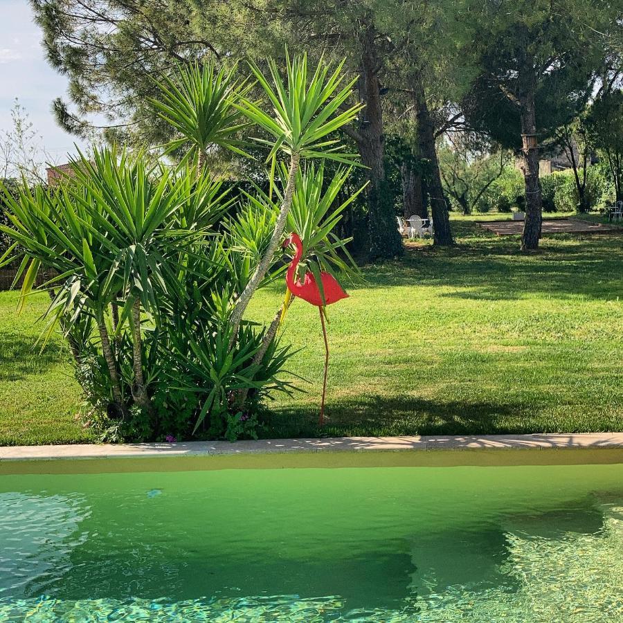 Le Patio, Chambres D Hotes Pour Adultes En Camargue, Possibilite De Naturisme A La Piscine, Aimargues Exterior photo