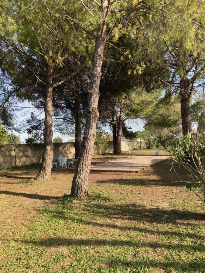 Le Patio, Chambres D Hotes Pour Adultes En Camargue, Possibilite De Naturisme A La Piscine, Aimargues Exterior photo