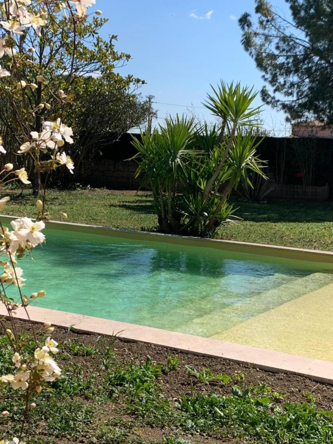Le Patio, Chambres D Hotes Pour Adultes En Camargue, Possibilite De Naturisme A La Piscine, Aimargues Exterior photo
