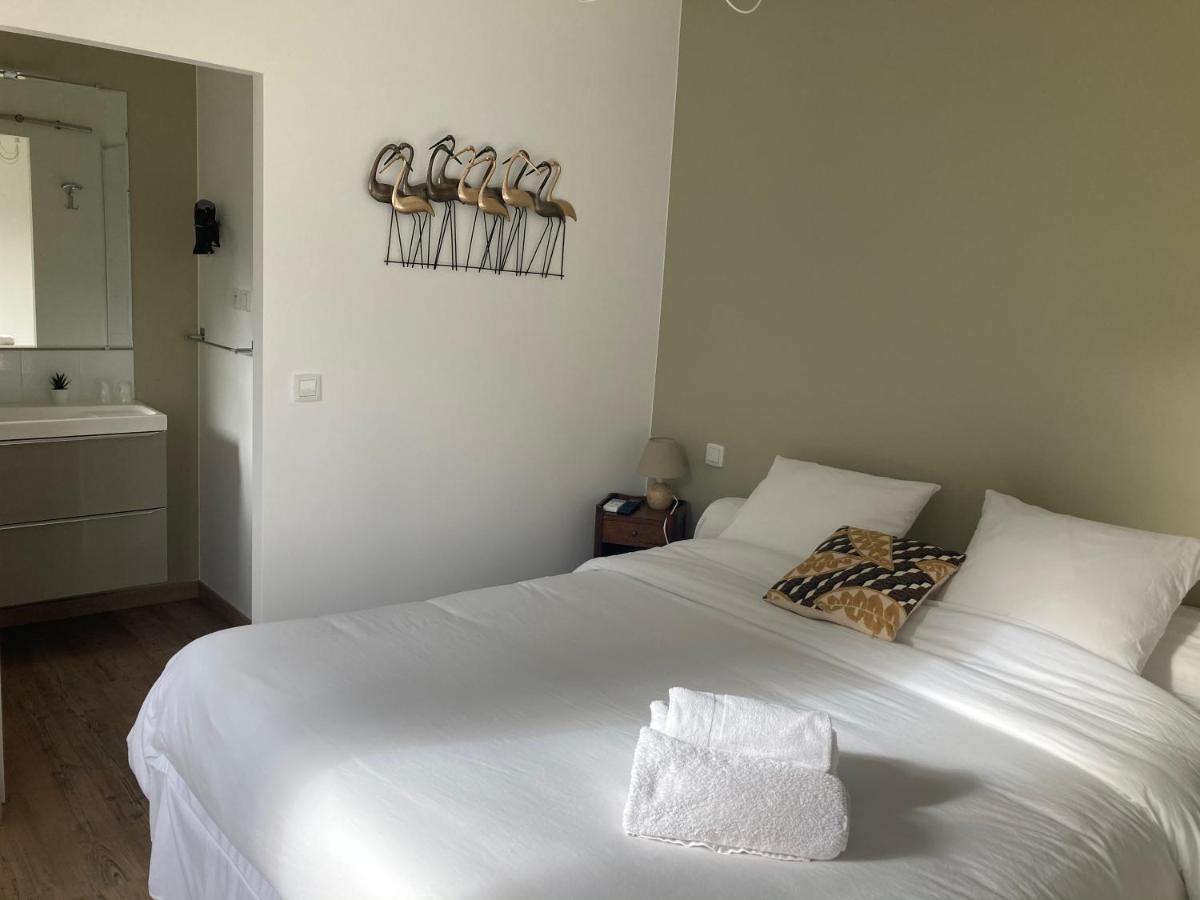 Le Patio, Chambres D Hotes Pour Adultes En Camargue, Possibilite De Naturisme A La Piscine, Aimargues Exterior photo