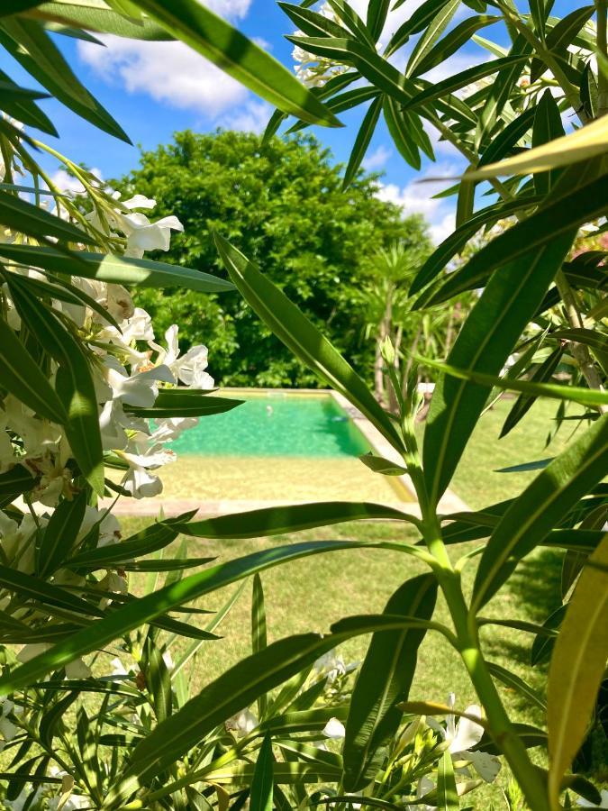 Le Patio, Chambres D Hotes Pour Adultes En Camargue, Possibilite De Naturisme A La Piscine, Aimargues Exterior photo